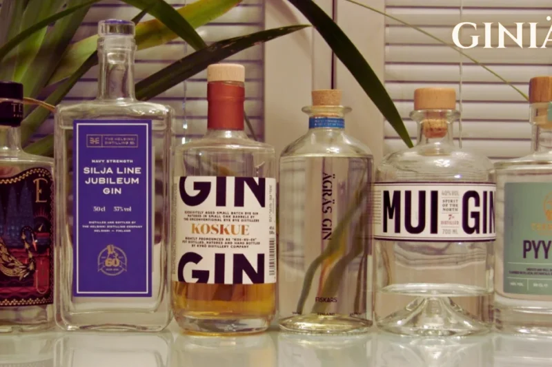 The Rise of Giniä: Redefining Aesthetic Beauty Standards